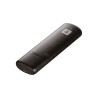 D-LINK WIRELESS AC USB DUAL BAND