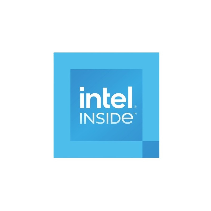 INTEL 300 DUAL CORE BOX