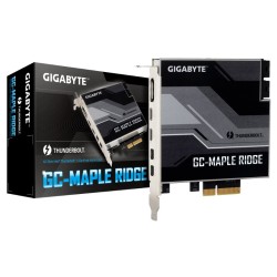 MAPLE RIDGE GIGABYTE