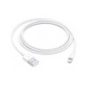 APPLE CABLE USB-A A LIGHTNING 1M